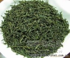 信陽第二十二屆國際茶文化節(jié) 信陽毛尖與紅茶的雙重奏